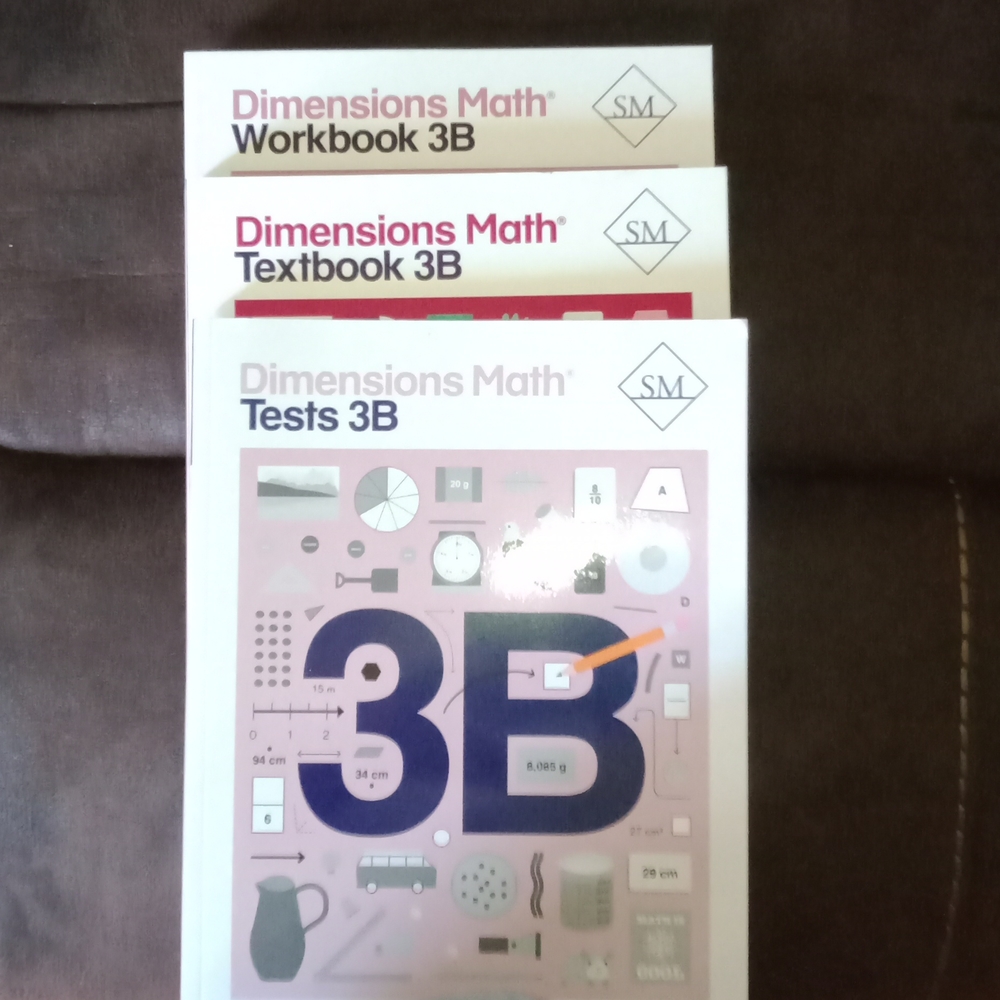 Singapore math 3b